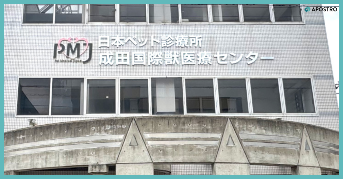 受付3人分の業務が1人に──APOSTRO、動物病院で多用途端末による業務構造改革を支援 写真